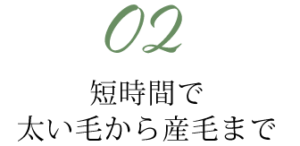 短時間で太い毛から産毛まで